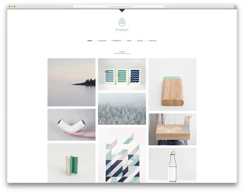 Pinecone-minimal-portfolio-website-template