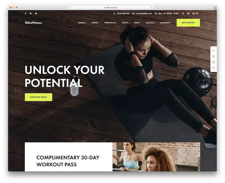 tema wordpress fitness ekko
