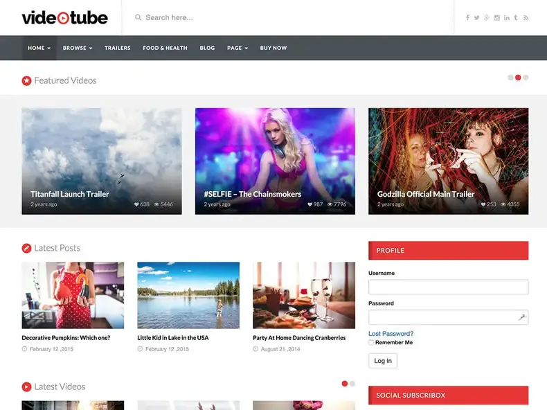 videotube-video-theme