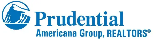 İhtiyatlı Americana Group Emlakçılar Şirket Logosu