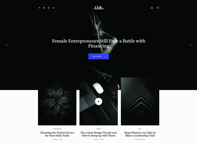 Aldo |  Thème WordPress du blog Gutenberg