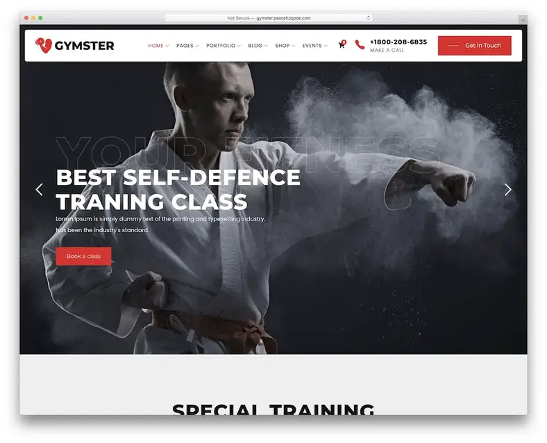 tema wordpress de artes marciais ginastas