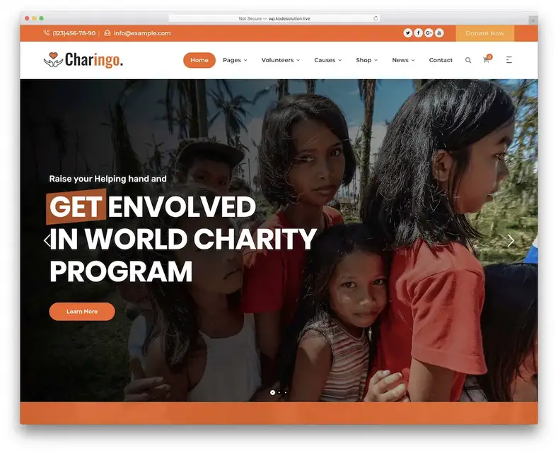 tema wordpress de angariação de fundos charingo