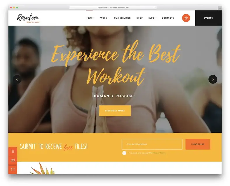 tema wordpress rosaleen speaker