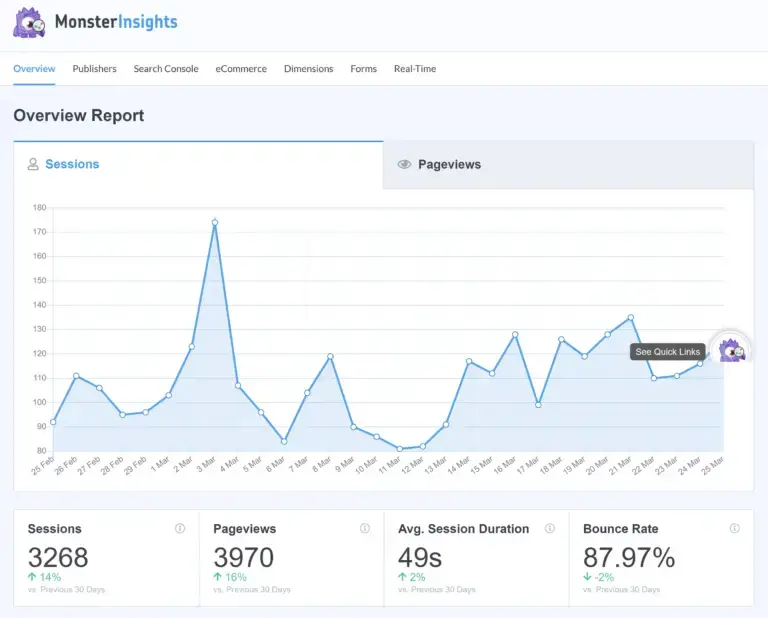 Relatório de visão geral do MonsterInsights