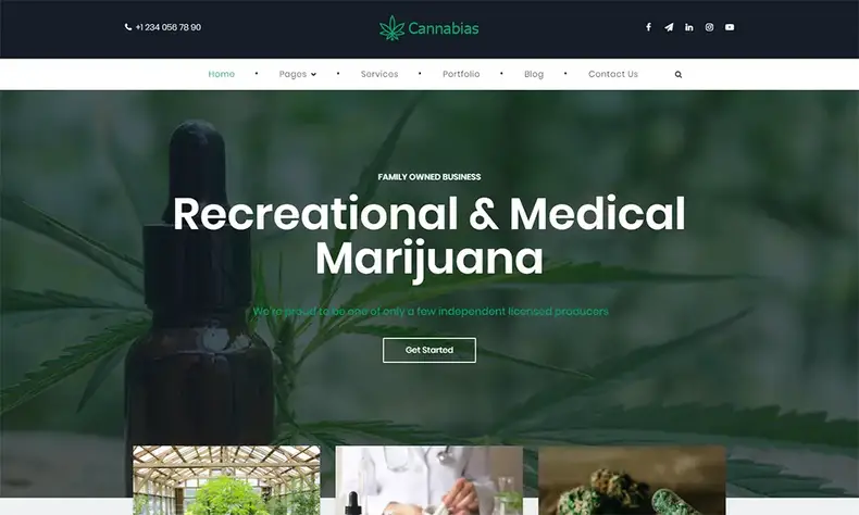 Thème WordPress pour entreprise de marijuana médicale Cannabias