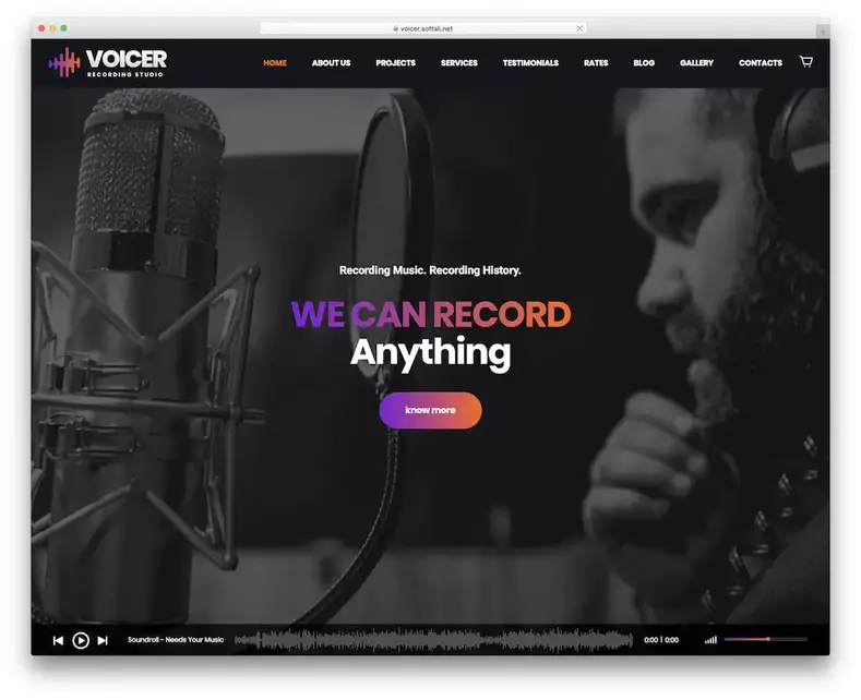thème dj wordpress voicer