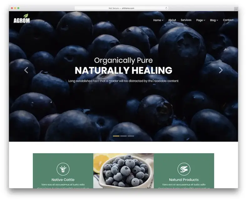 thème wordpress eco agrom vert