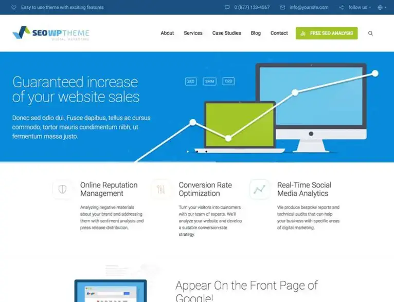 seo-wp-pemasaran-tema