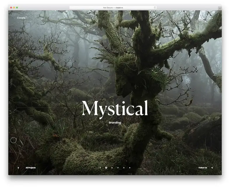 tema wordpress de fundo de vídeo canela