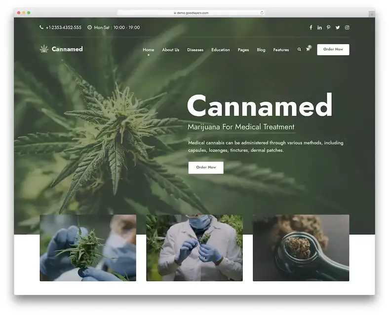tema wordpress pengobatan alternatif dengan nama