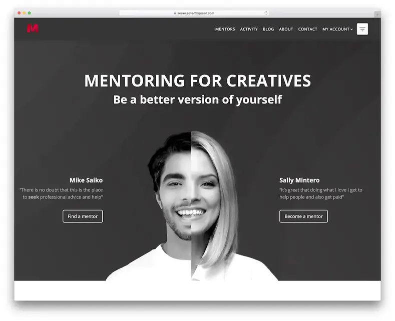 thème wordpress de seeko