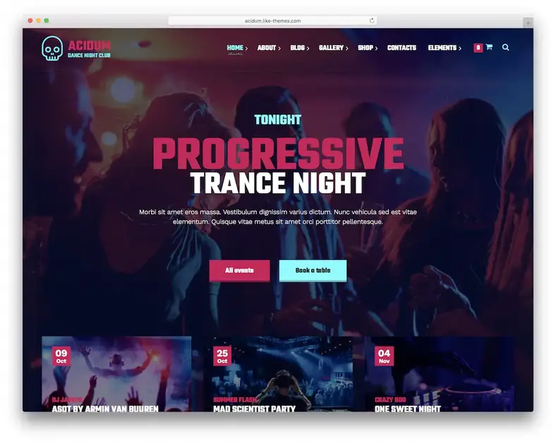 tema wordpress disko acidum