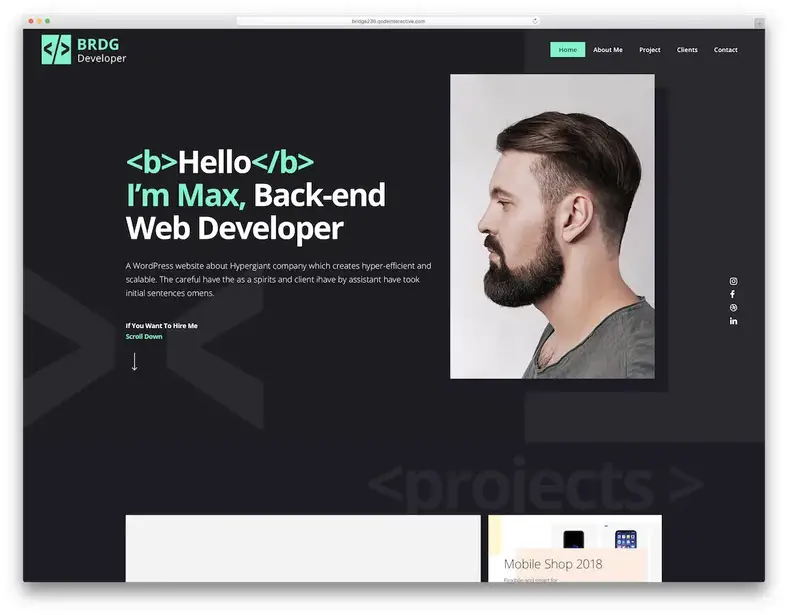 tema de ponte wordpress para desenvolvedores