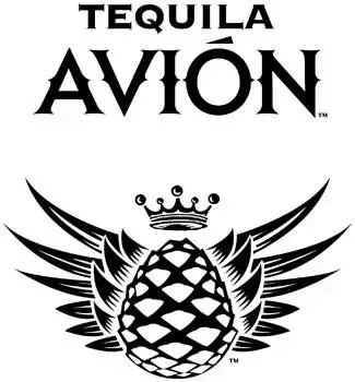 Logo perusahaan pesawat terbang