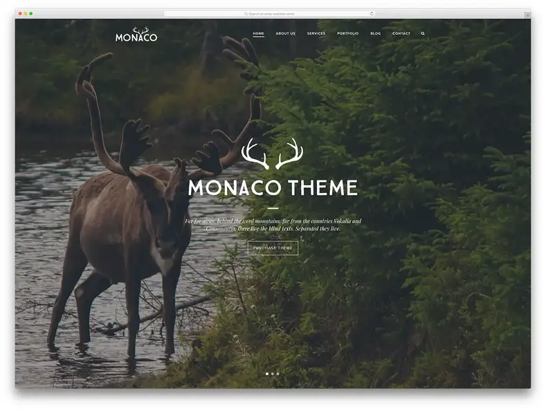 I migliori vecchi temi WordPress