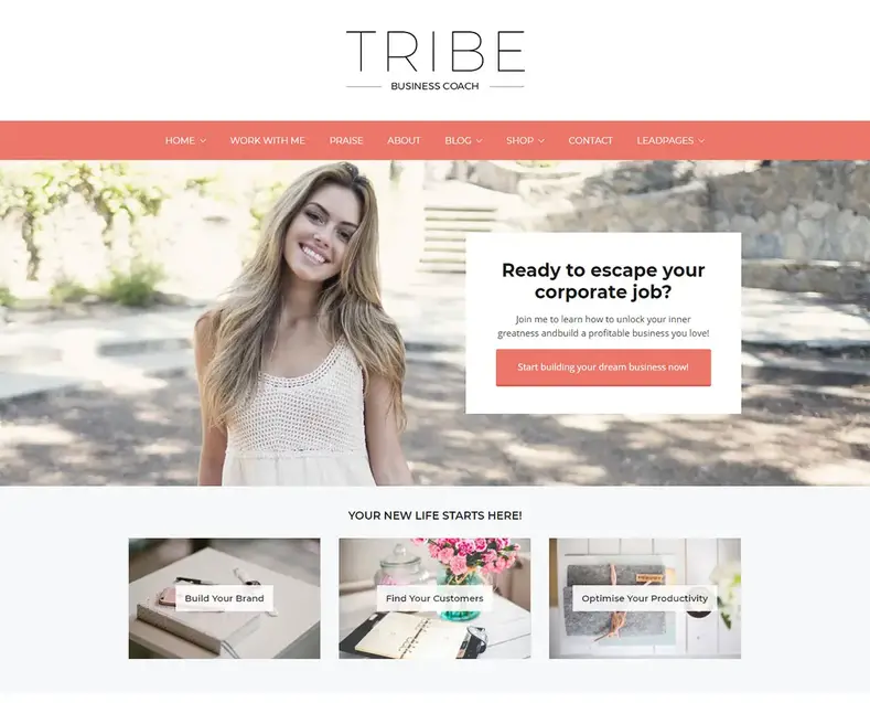 temas de palestrante wordpress