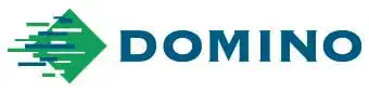 Domino Company logo