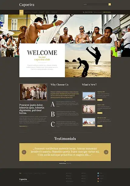 Tema WordPress de artes marciais