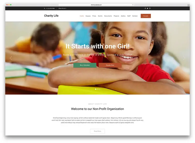 Charity-minimal modelo WP Charity