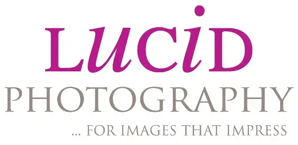 Logo Perusahaan Fotografi Lucid