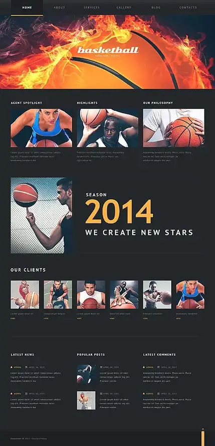 Tema WordPress de Basquetebol Queimar Fogo