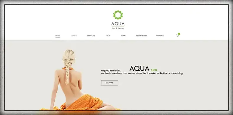 Aqua - Tema WordPress WooCommerce Responsif Spa & Kecantikan