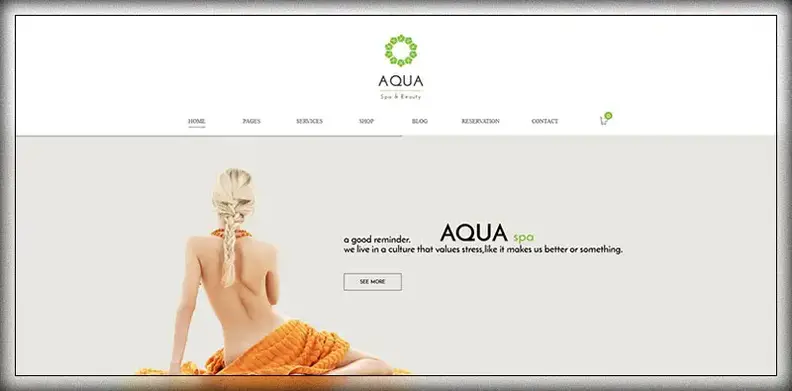 Aqua - Spa ve güzelliğe uyarlanabilen WooCommerce için WordPress teması