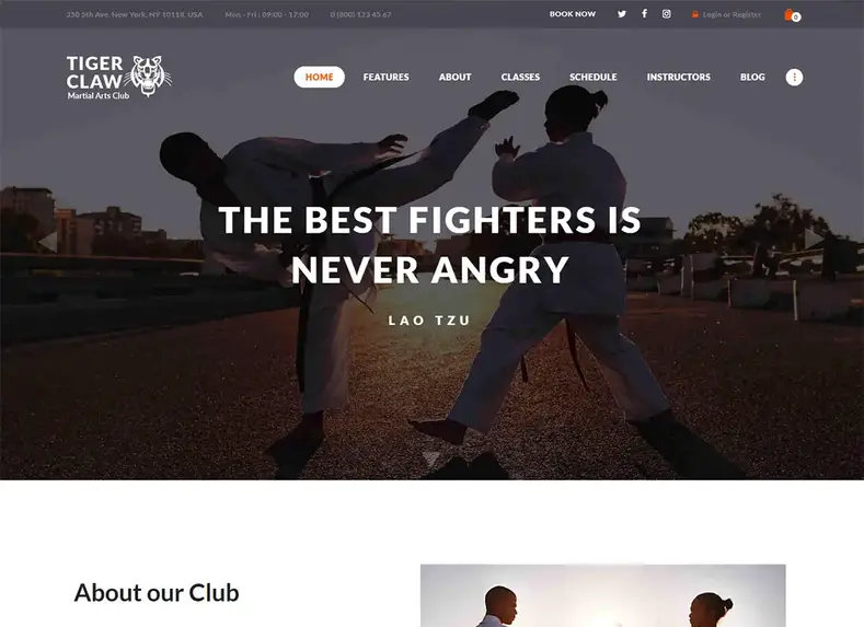 Tema WordPress de Artes Marciais Garra de Tigre