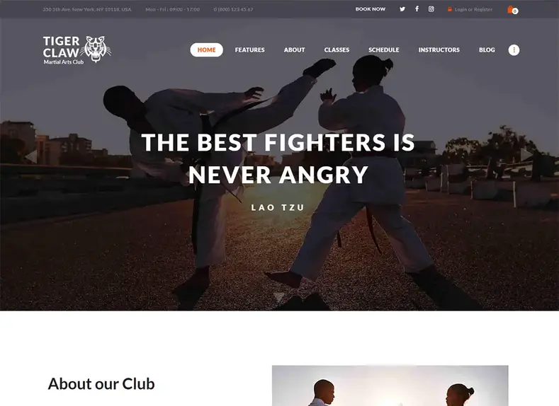 Thème WordPress pour arts martiaux Tiger Claw
