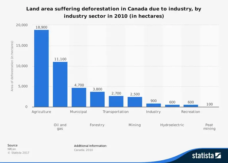 Statistik over ulemperne ved skovrydning