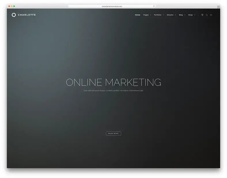 fatmoon-online-marketing-wordpress-template
