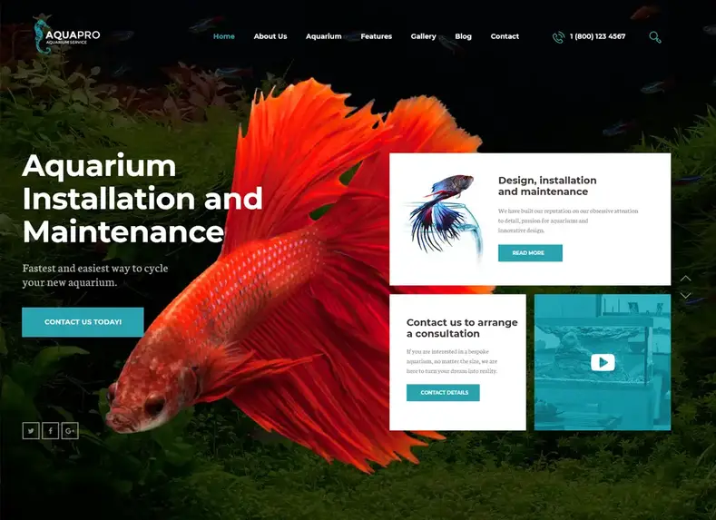 aquapro-akuarium-layanan-toko online