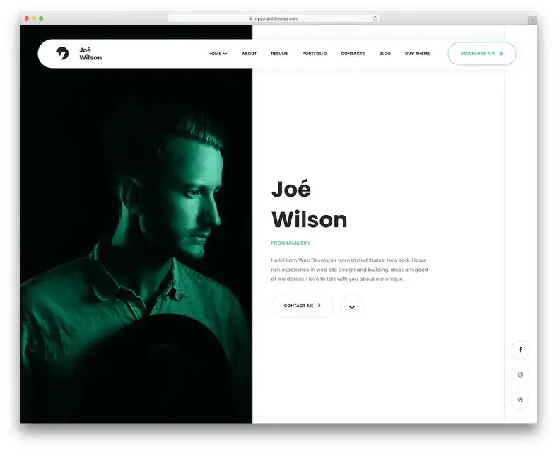 meu tema wordpress para desenvolvedores