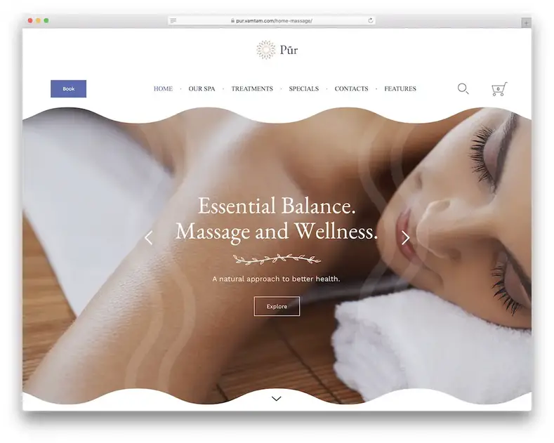 tema wordpress salon pijat pur spa