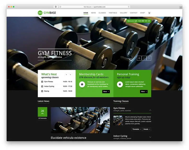 tema WordPress fitness