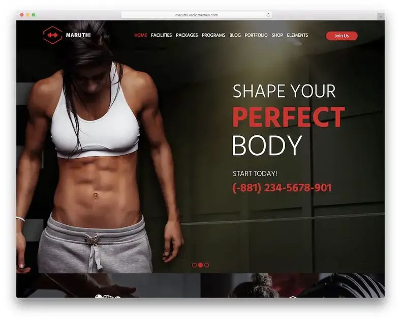 tema wordpress fitness maruthi