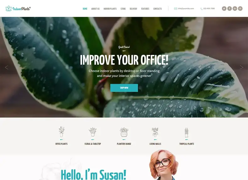 Plantas de interior |  Loja de plantas internas e tema WordPress de jardinagem