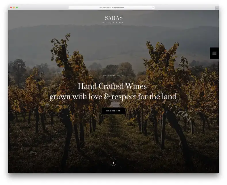 modèle de site Web de vin saras