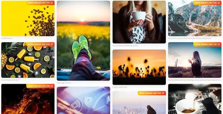 PicJumbo фото