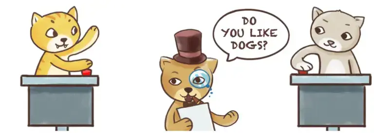 gato quiz