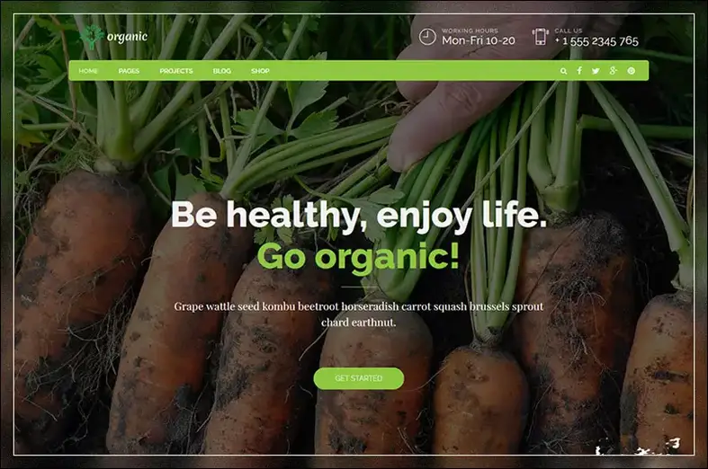 Makanan Organik - Tema WordPress Makanan & Ahli Gizi