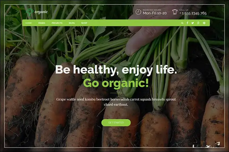 Aliments biologiques - Thème WordPress pour nutritionniste et alimentation