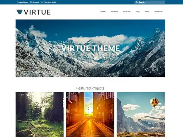 virtude-wordpress-tema