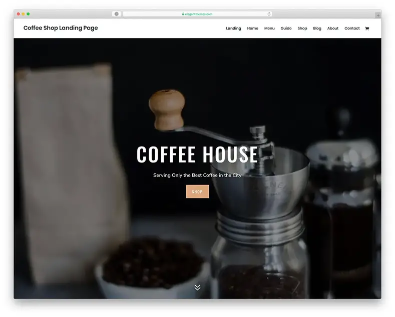 thème WordPress du café