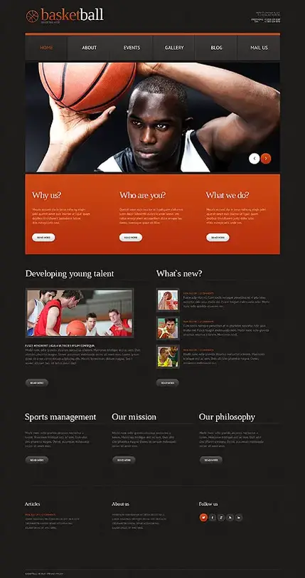 Tema WordPress Bola Basket