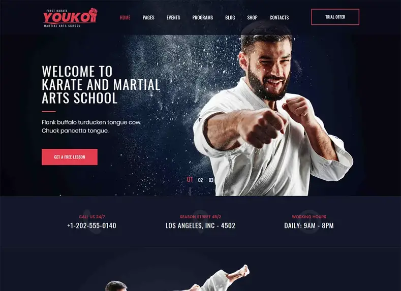 Tema WordPress de Artes Marciais Youku