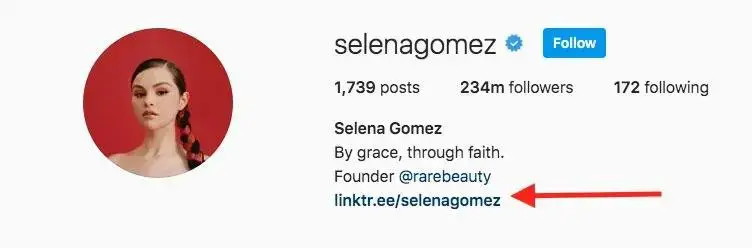 biografi instagram linktree selena gomez
