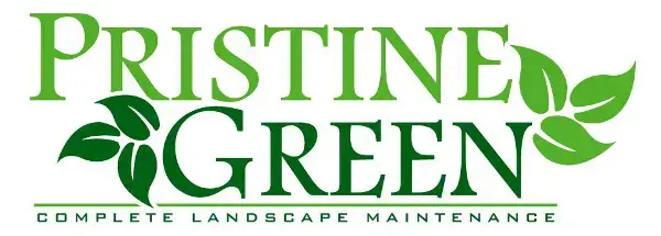 Bozulmamış Yeşil Şirket Logosu