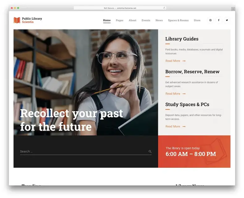tema livraria scientia wordpress